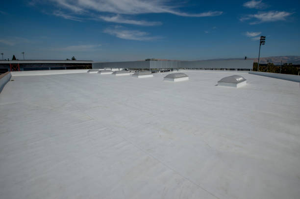 Best Roof Maintenance and Cleaning  in Rhinelander, WI